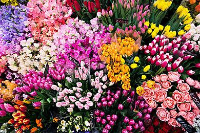 3D平台游戏《超级萨米卷》即将登陆PS5 画风可爱激萌