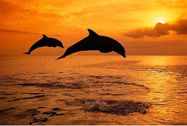 粉丝利用虚幻5自制《血源》场景 新亚楠效果出色